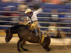 rodeo