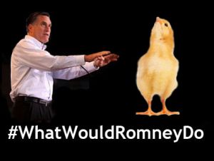 Romney chicken