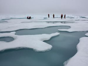 sea ice