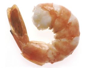 Shrimp