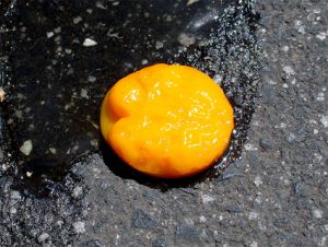 Egg frying on sidewalk
