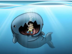 whale vengeance