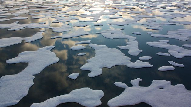 Arctic sea ice