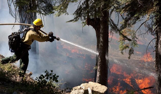 Firefighter