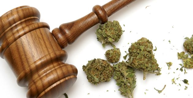 marijuana and the law