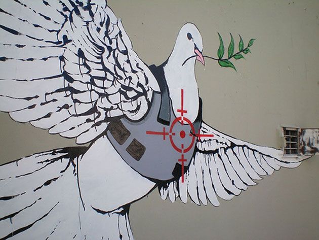 Peace dove