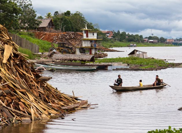 illegal logging in Peru