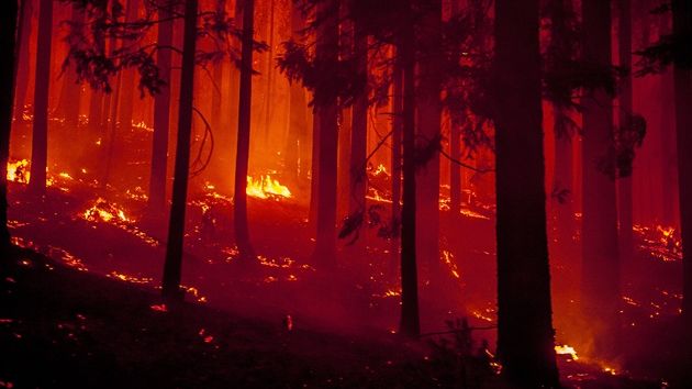 Rim Fire