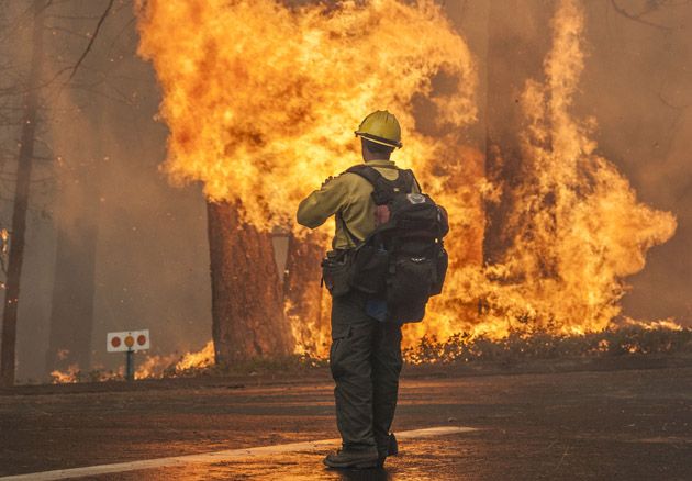 Rim fire