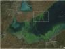 Satellite view of algae in Lake Erie