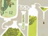 Algae_300x200.jpg
