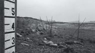 Dustbowl_300x200.jpg