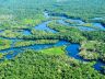 Amazon rainforest