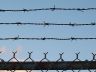 barbed wire