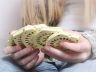 birth control pills