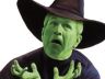 bush-cover-300x200.jpg