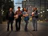 carolina chocolate drops