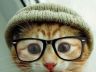 adorable cat glasses hat