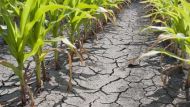 arid land