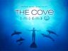 cove-300x200.jpg