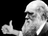 darwin