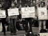 zuccotti protest signs
