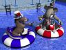 democrat republican donkey elephant swimming pool