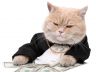 Fat cat