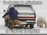 funny-pictures-bear-will-eliminate-your-carbon-footprint.jpg