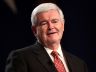Newt Gingrich