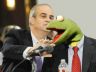 kermit the frog