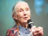 Jane Goodall