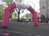 susan g. komen for the cure