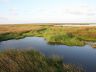 Louisiana wetlands
