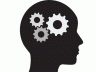 brain workings