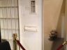 solitary cell