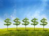 money on trees