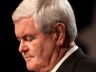 newt gingrich