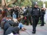 Occupy Davis Pepper Spray