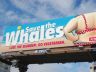petasavethewhales-081709-main.jpg