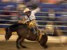 rodeo