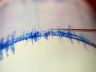 seismograph