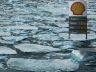 shell arctic