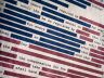Redacted document