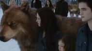 twilight saga breaking dawn part 2 kristen stewart robert pattinson