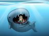 whale vengeance