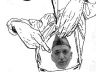 who-asked-300x200.jpg